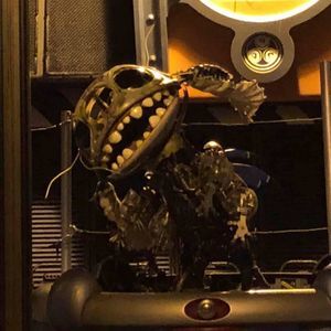 Meet your Posher, Morgan